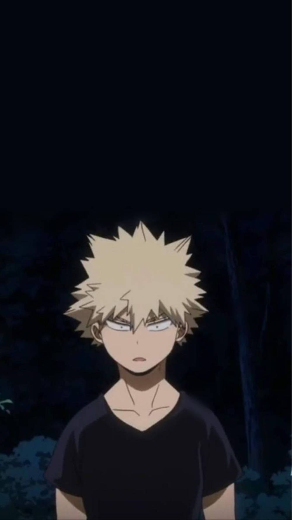 hình nền Bakugou 0045