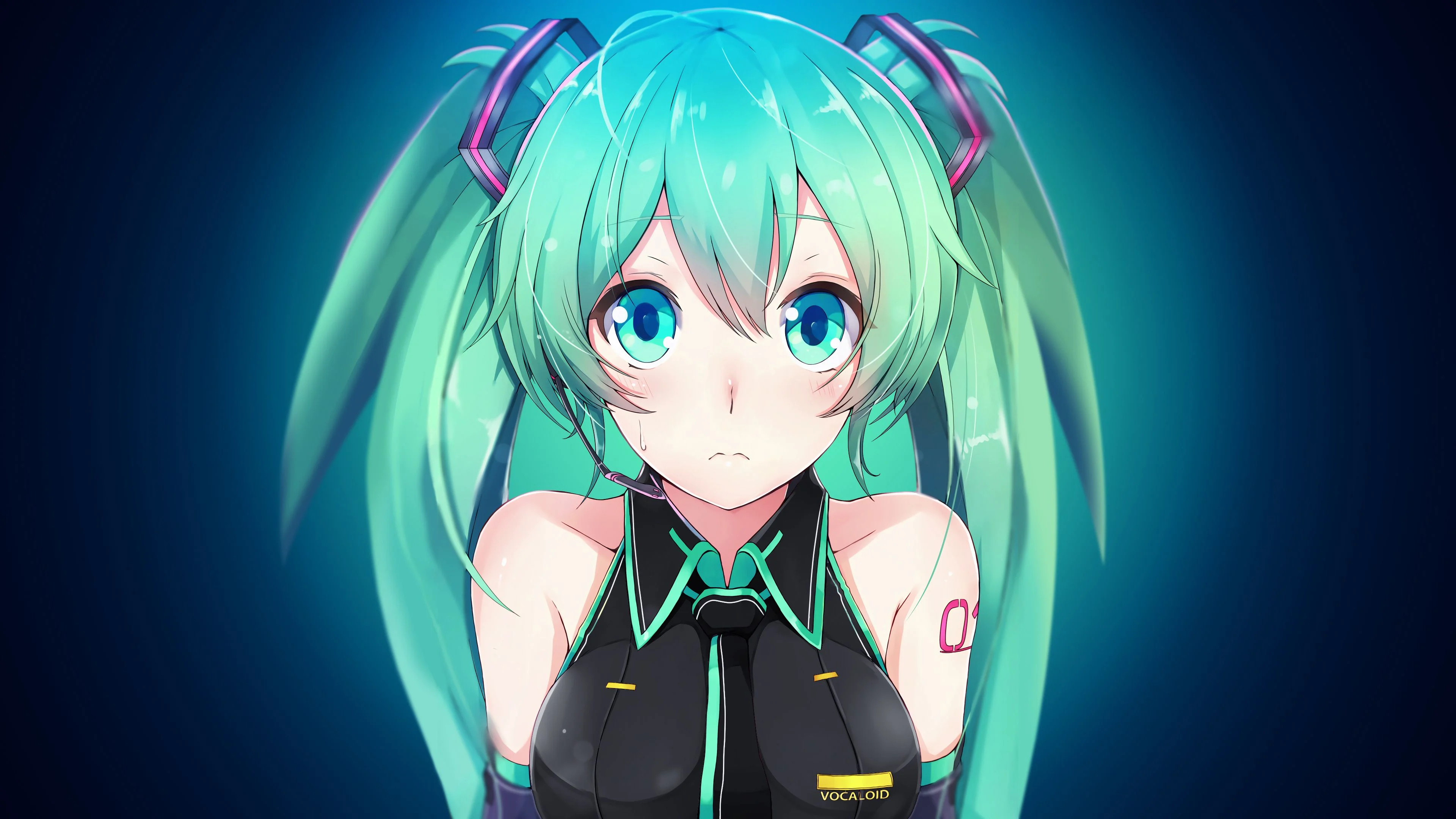 hình nền Hatsune Miku 0040