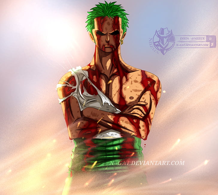 hình nền Zoro 0069